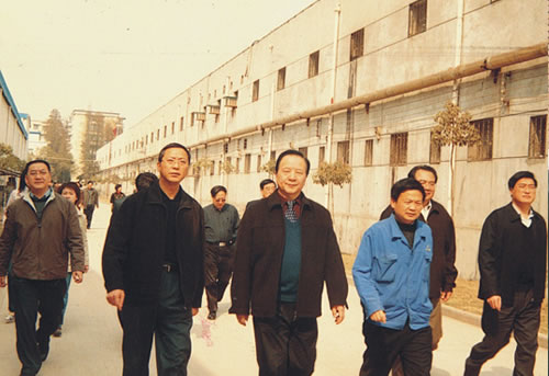 時任武漢市政協(xié)主席劉善壁到公司調研